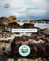 Algues Estran'ørdinaires